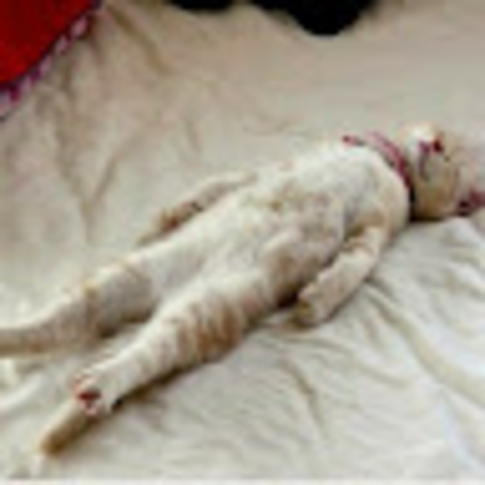 Meet your Posher, Liona